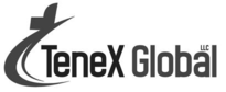 TeneX Global